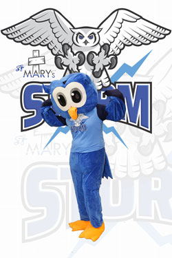 lcsd st marys mascot 2